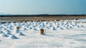 Lo stagnone di Marsala si circonda di sale e mulini