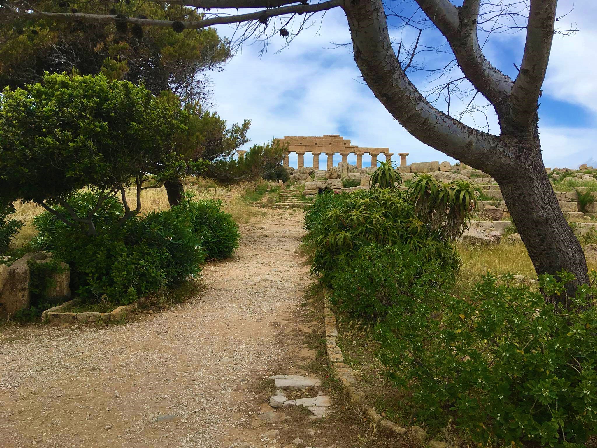 Selinunte Parco Archeologico