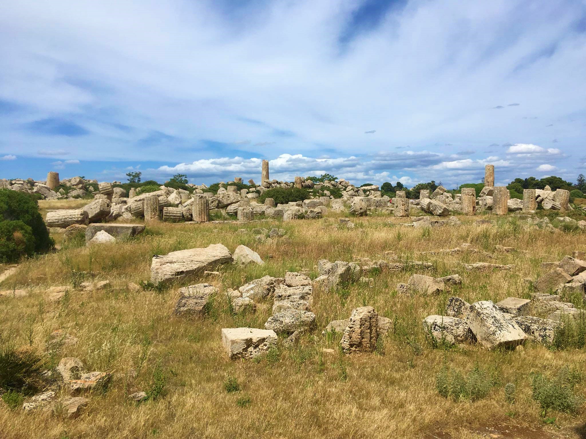 Parco archeologico di Selinunte