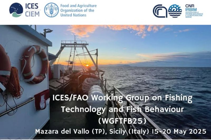 A Mazara del Vallo il Working Group on Fishing Technology and Fish Behaviour: un evento internazionale su pesca e sostenibilità
