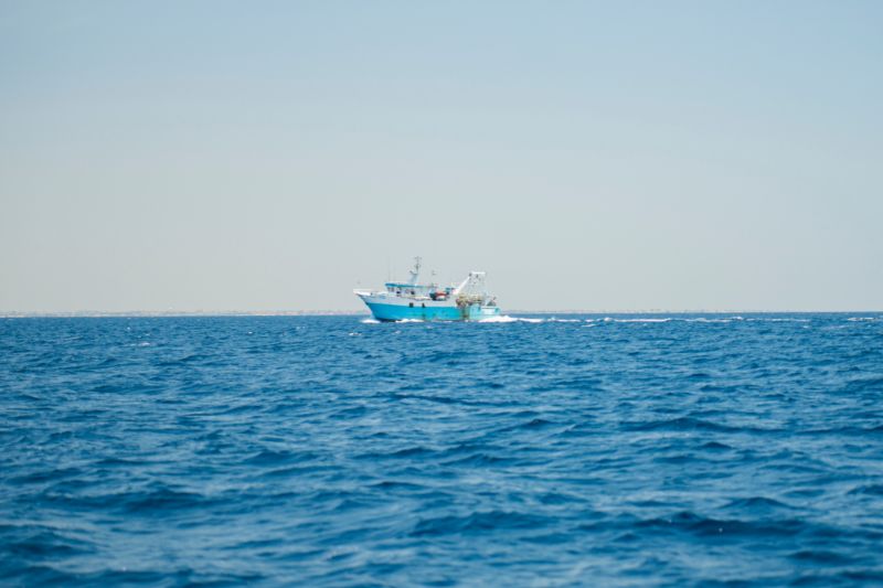 Federpesca ad Ancona per la Blue Economy dell’Adriatico