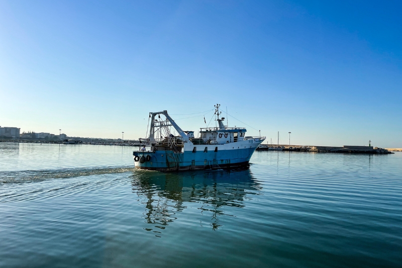 Feampa Bandi Online: uno strumento chiaro per orientarsi tra i finanziamenti della pesca