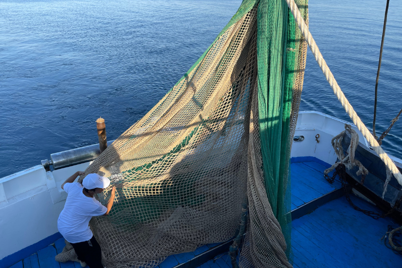 Le possibilità di pesca non sono solo numeri servono scelte che tengano insieme ambiente, lavoro e filiera